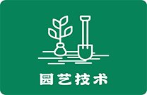 阿森纳携手top体育app公布官方合作